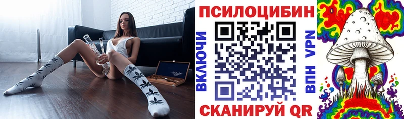 KRAKEN онион  Курильск  Галлюциногенные грибы Psilocybine cubensis 